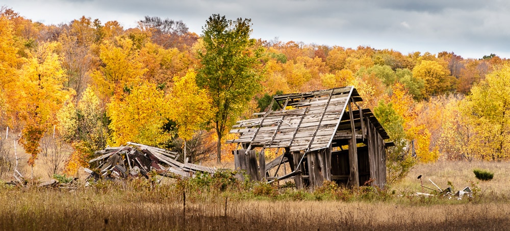 Rural Landscapes - Dilapidated Barn